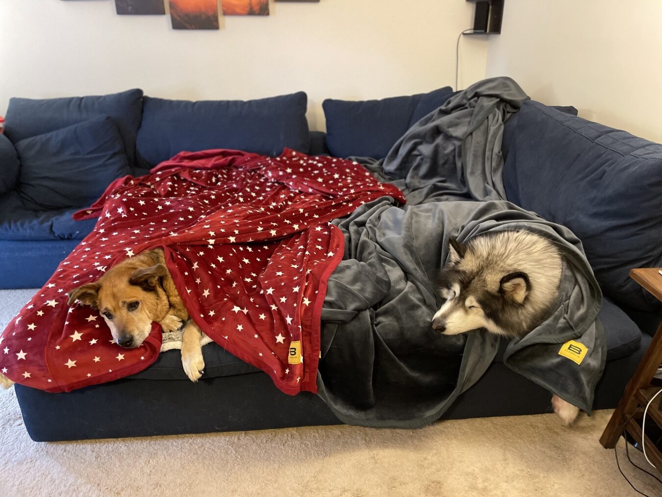 I tried the viral TikTok blanket… Here’s what happened Review Therapy